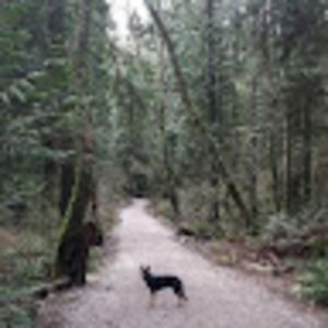 Meet your Posher, Ella